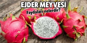 Ejder meyvesinin faydaları nelerdir?