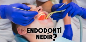 Endodonti nedir?