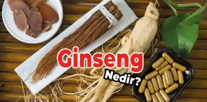 Ginseng Nedir?