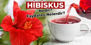 Hibiskus nedir? Hibiskus çayı faydaları nelerdir?