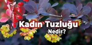 Kadın Tuzluğu Nedir?