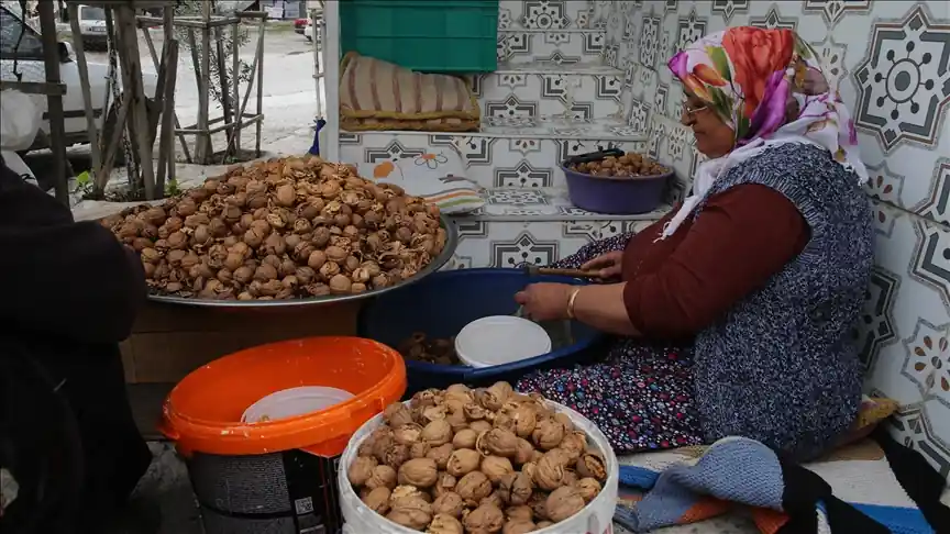 Tokat’ın Niksar ilçesi, coğrafi