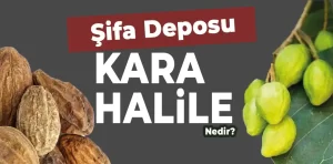 Kara Halile Nedir?