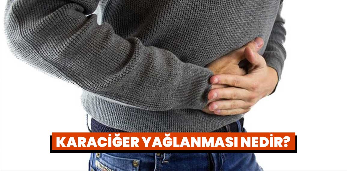 Karaciğer yağlanması, karaciğer hücrelerinin