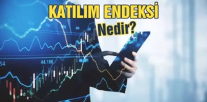 Katılım endeksi nedir?