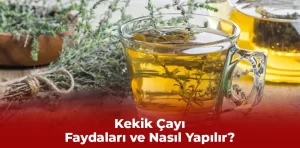 Kekik çayı: Faydaları ve nasıl yapılır?