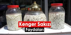 Kenger Sakızı nedir?