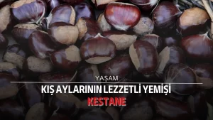 Kış aylarının vazgeçilmezi: Kestane