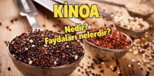 Kinoa nedir, faydaları nelerdir?