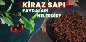 Kiraz Sapı Çayı Faydaları Nelerdir?