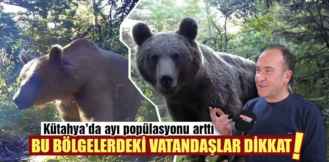 Kütahya’da bazı bölgelerde ayı