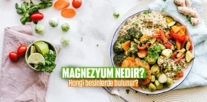 Magnezyum Nedir?