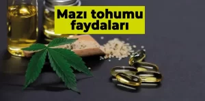 Mazı Tohumu Faydaları Nedir?