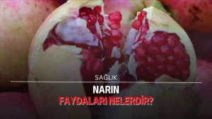 Narın faydaları nelerdir?