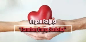 Organ Bağışı, “Candan Cana Sadaka”