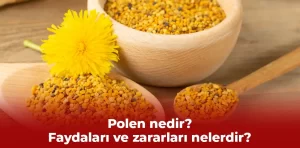 Polen nedir? Faydaları ve zararları nelerdir?