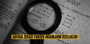 Sayısal Zeka Nedir?