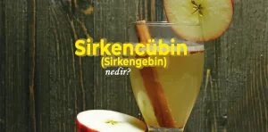 Sirkencübin (Sirkengebin) Şerbeti nedir?