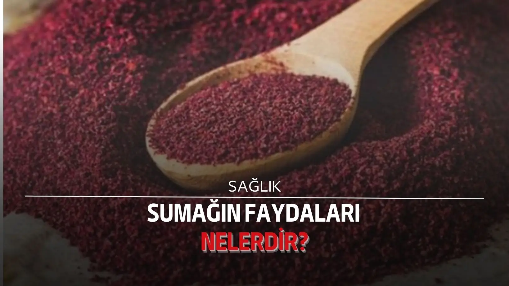 Sumak, antep fıstığı familyasından