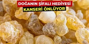 Akgünlük Nedir? Faydaları Nelerdir?