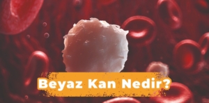 Beyaz kan nedir?