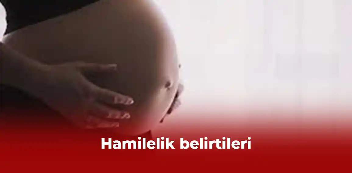 Hamilelik, bir kadının yumurtasının