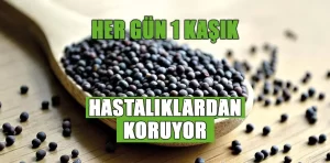 Hardal Tohumu Faydaları: Her Gün Tüket, Hasta Olma!