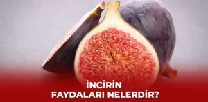 İncirin faydaları nelerdir?