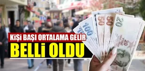 Kişi başı aylık ortalama gelir belli oldu