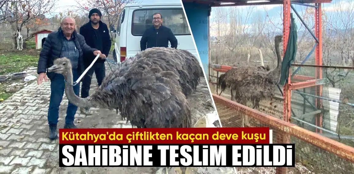 Kütahya’ya bağlı Gediz ilçesinde