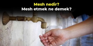 Mesh nedir? Mesh etmek ne demek? Mest üzerine mesh nasıl yapılır