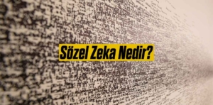 Sözel Zeka Nedir?