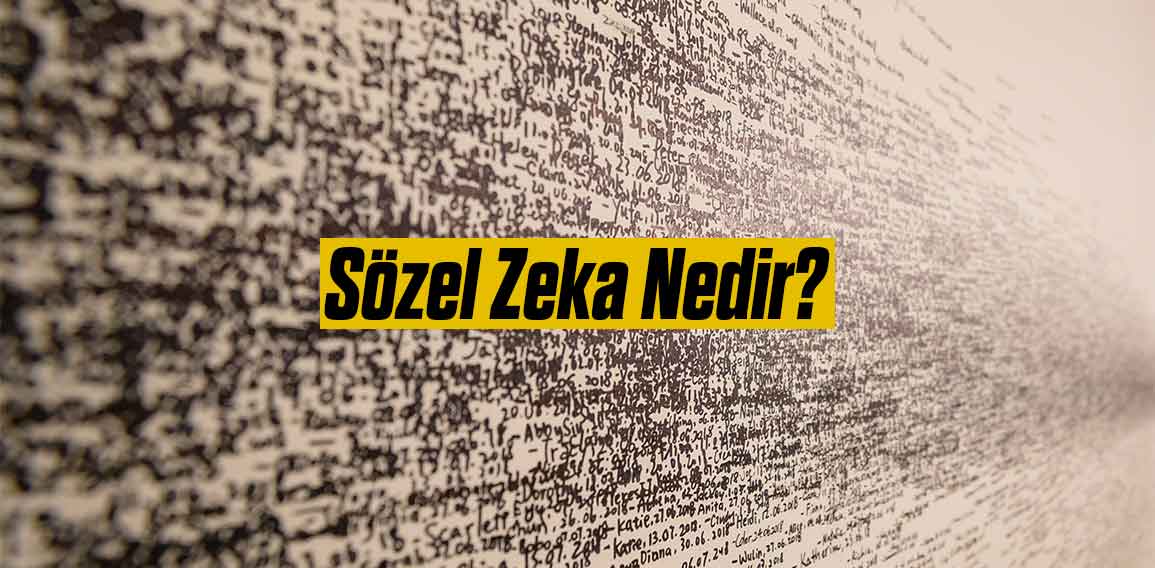 Sözel zeka, bireyin dil