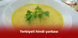 Terbiyeli hindi çorbası