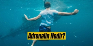 Adrenalin Nedir?