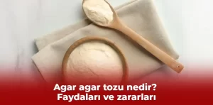 Agar agar tozu nedir? Faydaları ve zararları