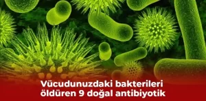 Vücudunuzdaki bakterileri öldüren 9 doğal antibiyotik