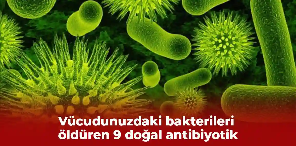 Antibiyotikler, bakteriyel enfeksiyonları tedavi