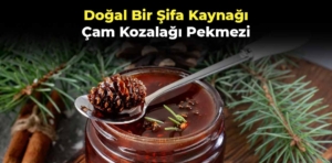 Çam Kozalağı Pekmezinin Faydaları Nelerdir?