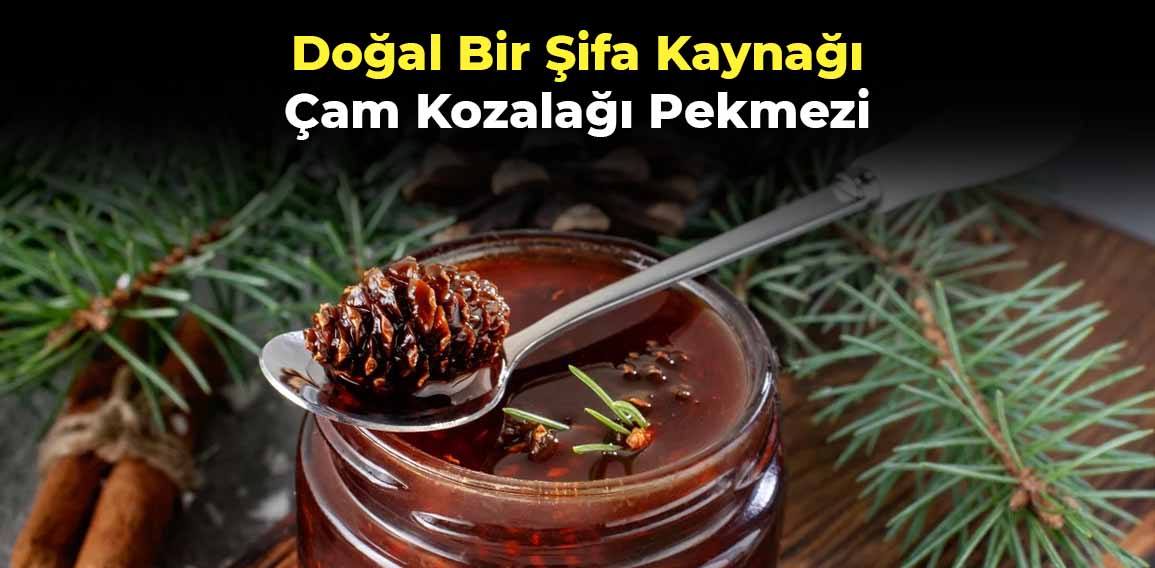 Çam kozalağı pekmezi, sağlığa