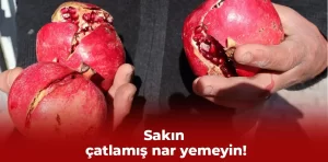 Sakın çatlamış nar yemeyin!