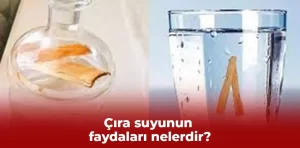 Çıra suyunun faydaları nelerdir?