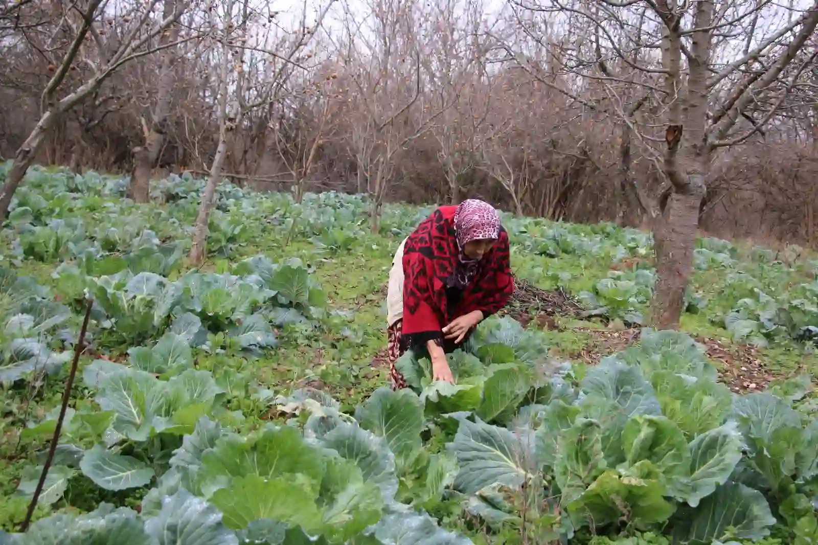 Kütahya’da kadınlar hayalleri için azimle çalışıyor 