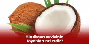 Hindistan cevizinin faydaları nelerdir?