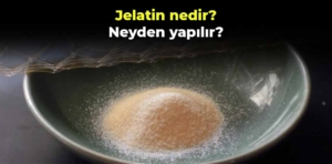 Jelatin nedir, neyden yapılır? Jelatin nasıl üretilir?