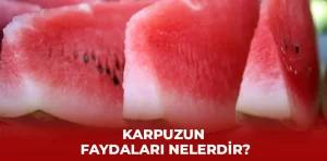 Karpuzun faydaları nelerdir?