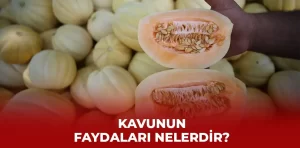 Kavunun faydaları nelerdir?