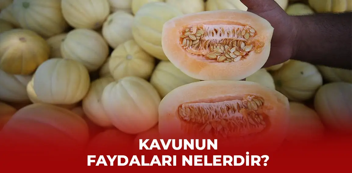 Kavun, yaz aylarının en