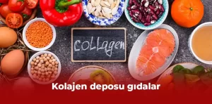 Kolajen deposu gıdalar