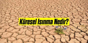 Küresel Isınma Nedir?